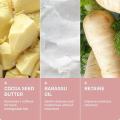 GENTLE Shampoo and Conditioner Bar Bundle