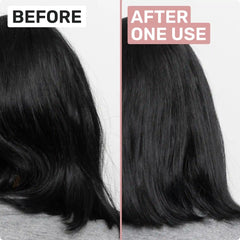 GENTLE Shampoo and Conditioner Bar Bundle
